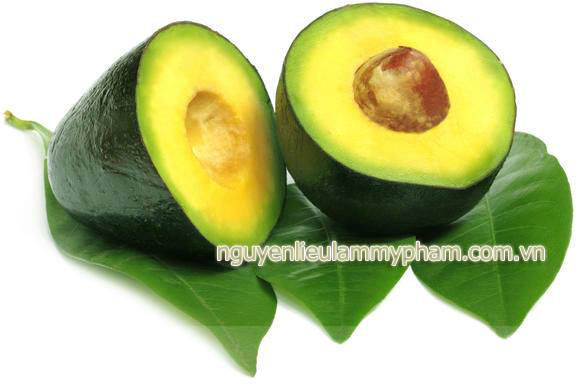 Dầu Quả Bơ - Nguyên liệu làm my pham dau qua bo