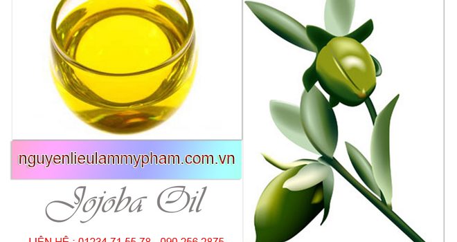 Dầu Jojoba - Dầu Jojoba nguyên chất (Jojoba Oil)- Dầu nền Jojoba - Tinh dầu