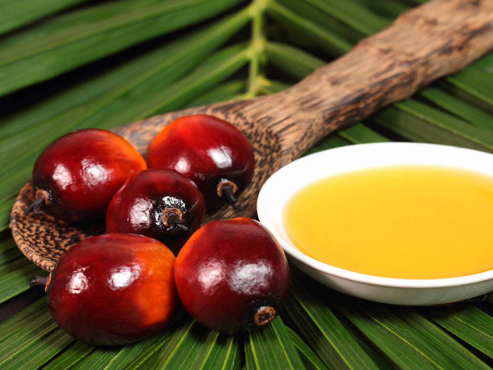 NGUYÊN LIỆU LÀM MỸ PHẨM : DẦU CỌ