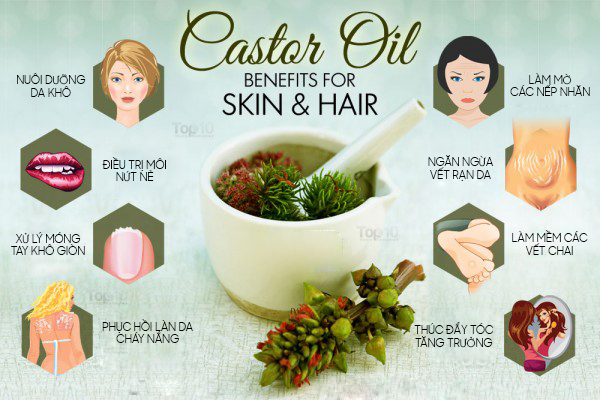 10 lợi ích hàng đầu của dầu castor