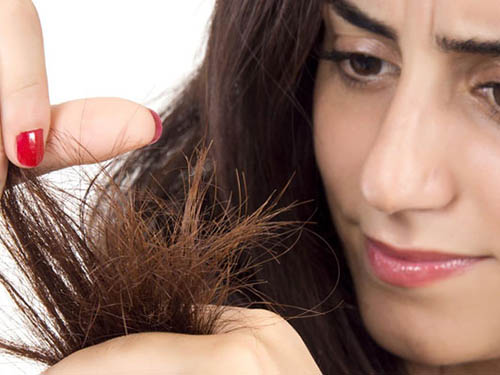 Phục hồi tóc chẻ ngọn với dầu argan