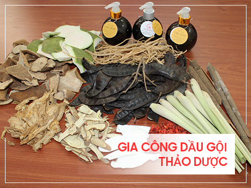 Gia công dầu gội thảo dược trọn gói