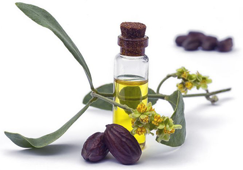 Dầu jojoba nguyên chất